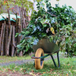 technique d'élagage