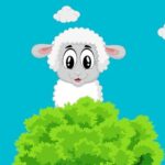 Les défis des dons pendant Aid Adha et comment les surmonter