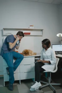 Stérilisation et nutrition canine conseils pour un régime équilibré